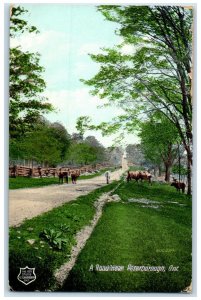 c1905 A Road Near Peterborough Ontario Canada Antique Posted Postcard