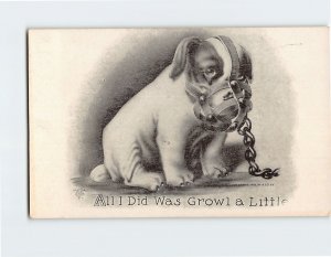 Postcard All I Did Was Growl a Little with Puppy Art Print