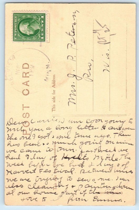 c1910's Thanksgiving Greetings Woman Cached Turkey Belview MN Antique Postcard
