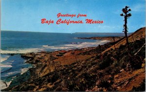 Greetings from Baja California Mexico Postcard PC104