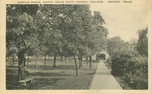 Campus Scene Texas State Normal College Denton Texas 1924 Postcard 20-10607