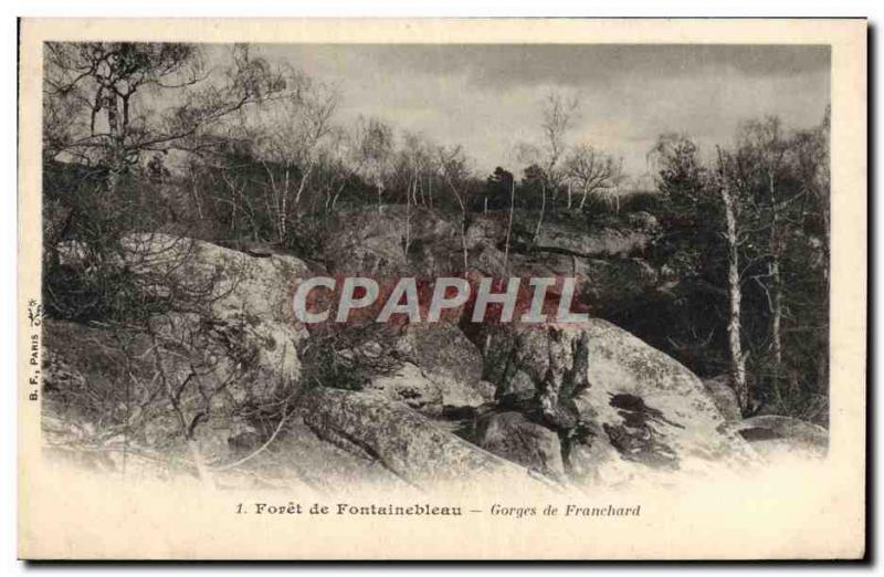 CPA Foret de Fontainebleau Gorges de Franchard