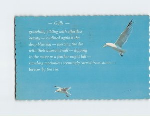 Postcard Gulls Poem Gulls Print