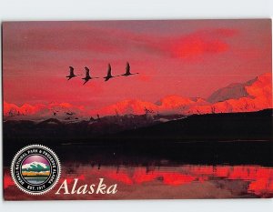 Postcard Denali National Park, Alaska