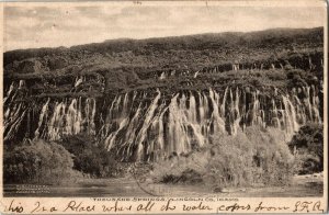 View of Thousand Springs, Lincoln County ID c1909 Vintage Postcard C45