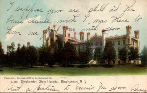 New York Binghamton State Hospital 1908 Rotograph
