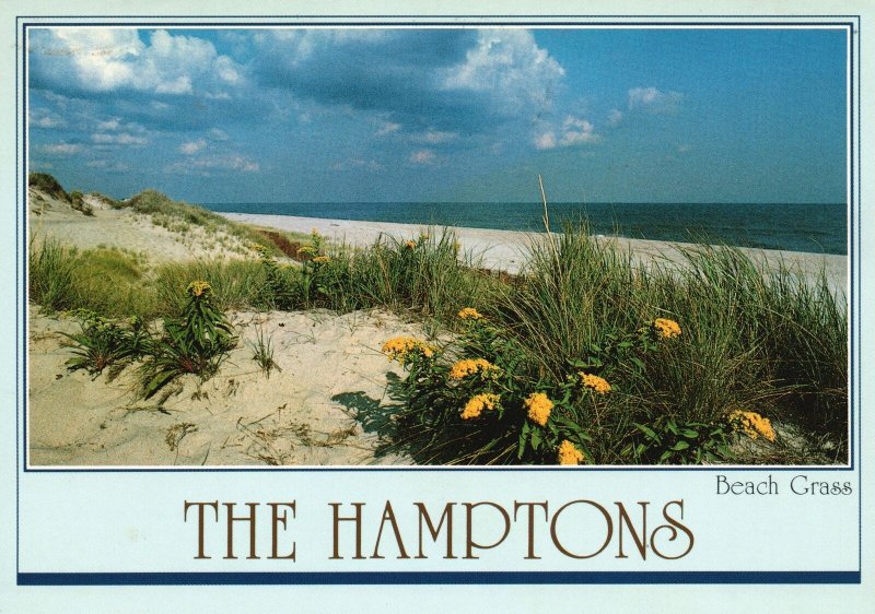 Vintage Postcard 1985 The Hamptons Beach Grass Dunes Eastern Long