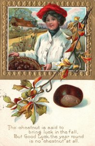 Vintage Postcard 1911 Chestnut Bring Luck in Fall Good Luck Year Around Greeting