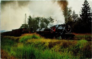 British Columbia Provincial Museum Locomotive 1077 Train Railroad Track Postcard 