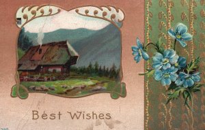 Vintage Postcard 1910 Best Wishes Greetings Card House Countryside Flowers