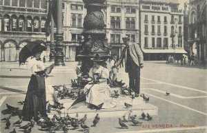 B515 Italy Venice pigeons