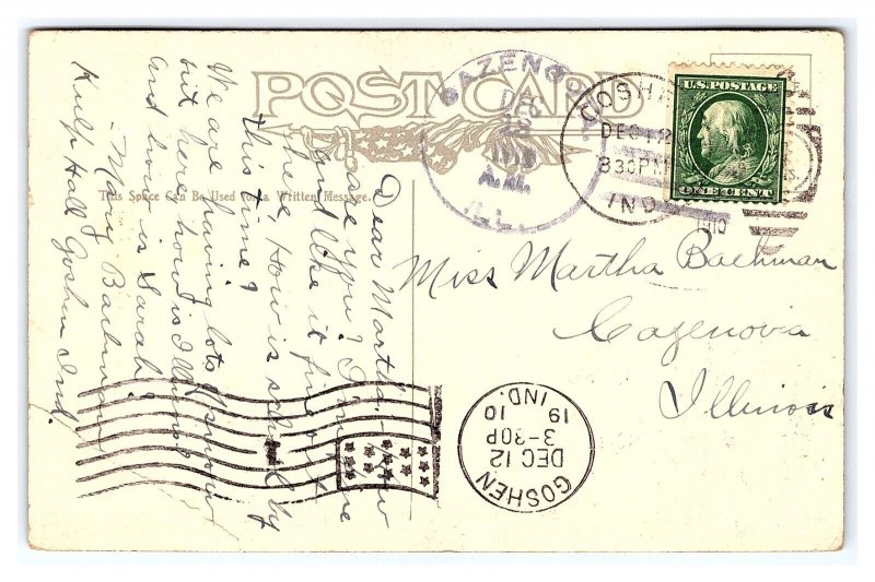 Cat Postcard The Cat Is Out The Bag Artist Signed I. Phillips c1910 Postmark