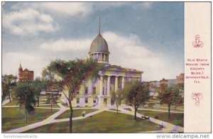 Illinois Springfield Old State House