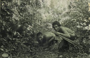 brazil, Indios Botucudos Aimoré Indians, Grupo Observando uma Preza (1910s)
