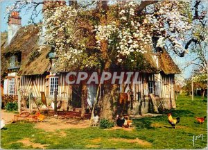 'Postcard Modern Vallee d''Auge The Lush Normandy'