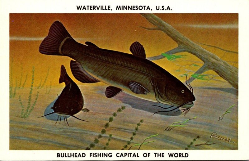 Minnesota Waterville Bullhead Fishing Capitol Of The World