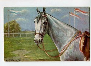 3150342 HORSE by MULLER Postmark FELDPOSTAMT d.XVII Res.Korps