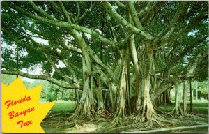 Florida Florida Banyan Tree