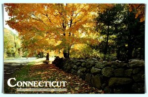 Connecticut - Miles Of Stonewalls - [CT-249]