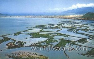 Hamlet in rice paddy area South Viet Nam Vietnam, Viet Nam Unused 