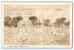 1968 Autumn In Shelburne Gorham New Hampshire NH RPPC Photo Posted Postcard