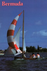 CONTINENTAL SIZE POSTCARD THE BERMUDA FITTED DINGHY