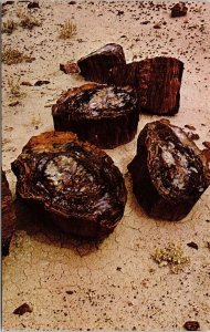 Stone Tree Logs Petrified Forest National Park Arizona AZ Postcard Vintage UNP 