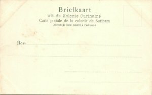 suriname, BERG EN DAL, Panorama (1899) C. Kersten & Co.