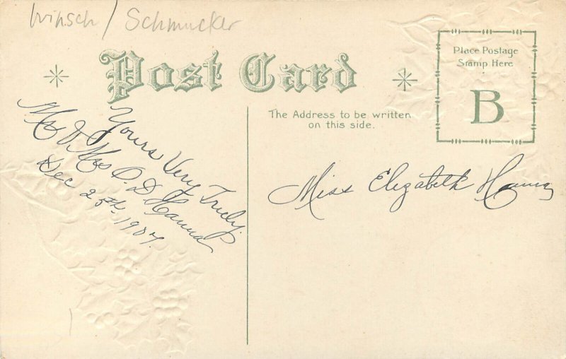 Embossed Christmas Postcard Winsch Schmucker Woman With Mandolin