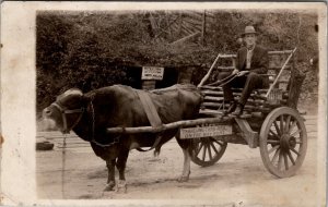 RPPC Hot Springs Arkansas Handsome Man on Rustic Oxon Cart Souvenir Postcard A29