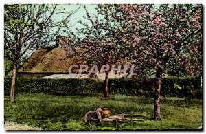 The picturesque Normandy Modern Postcard Under the apple trees