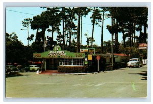 17 Mile Drive Cottage Court Motel Pacific Grove California Vintage Postcard F52