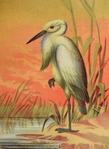 1870's-80's Excelsior Metal Polish Walpole Emery Mills Egret Bird In Pond &F