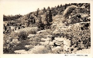 G76/ Hamilton Ontario Canada RPPC Postcard 40s Rock Garden Botanical 2