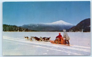 BARROW, AK Alaska ~ 1963 ~ HUSKY DOG TEAM in SNOW Mike Roberts Postcard