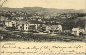 Liberty NY General View TUCK 1026 c1905 Postcard