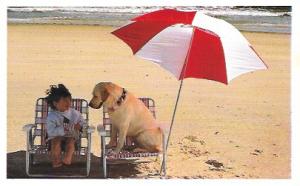 North Shore Animal League.