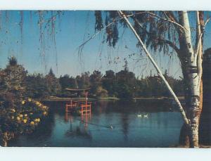 Unused Pre-1980 PARK SCENE Fresno California CA hk5921