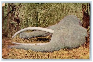 Roosevelt Tour Postcard A Fallen Monarch Animals Topeka Kansas KS c1910's