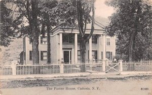 Foster House in Cadosia, New York
