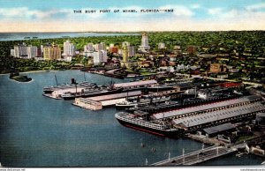 Florida Miami View Of The Busy Port