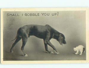 Divided-Back DOG SCENE Great Postcard AA9325