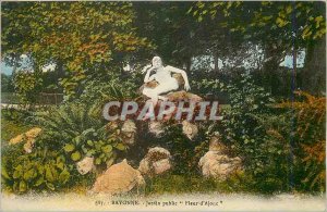 Postcard Old Bayonne Public Garden Flower Ajone