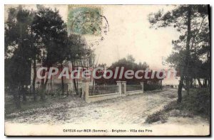 Old Postcard Cayeux sur Mer (Somme) Brighton Villa des Pins