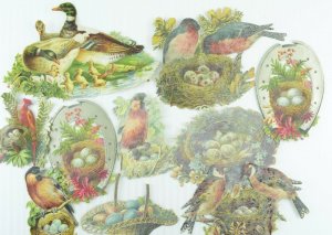 1880's Die Cut Birds Nest Eggs Exotic Victorian Cards Lot of 8 Z64