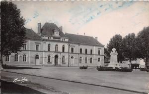 BR10784 lion D angers Hotel de ville    france