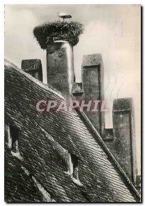 Modern Postcard Selestat The Storks nest on the roof of the Arsenal