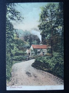 Somerset Chard COMBE DINGLE c1905 Postcard by B.& S.C.