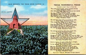 Vtg 1940s Blue Bonnets State Flower Capitol Wonderful Texas TX Poem Postcard