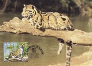 Clouded Leopard Malaysia Rare WWF Stamp First Day Cover Postcard